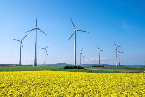 How to Go Green with Wind Energy